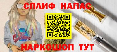 сатива Камышлов