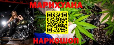 сатива Камышлов