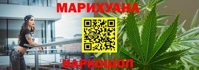 сатива Камышлов